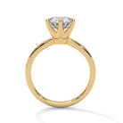 Tifaro 2 Carat Solitaire Silver Ring Yellow Gold - Shinez By Baxi Jewellers