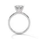 Tifaro 2 Carat Solitaire Silver Ring White Gold - Shinez By Baxi Jewellers